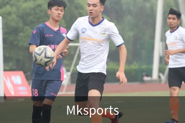Mksports公司简介